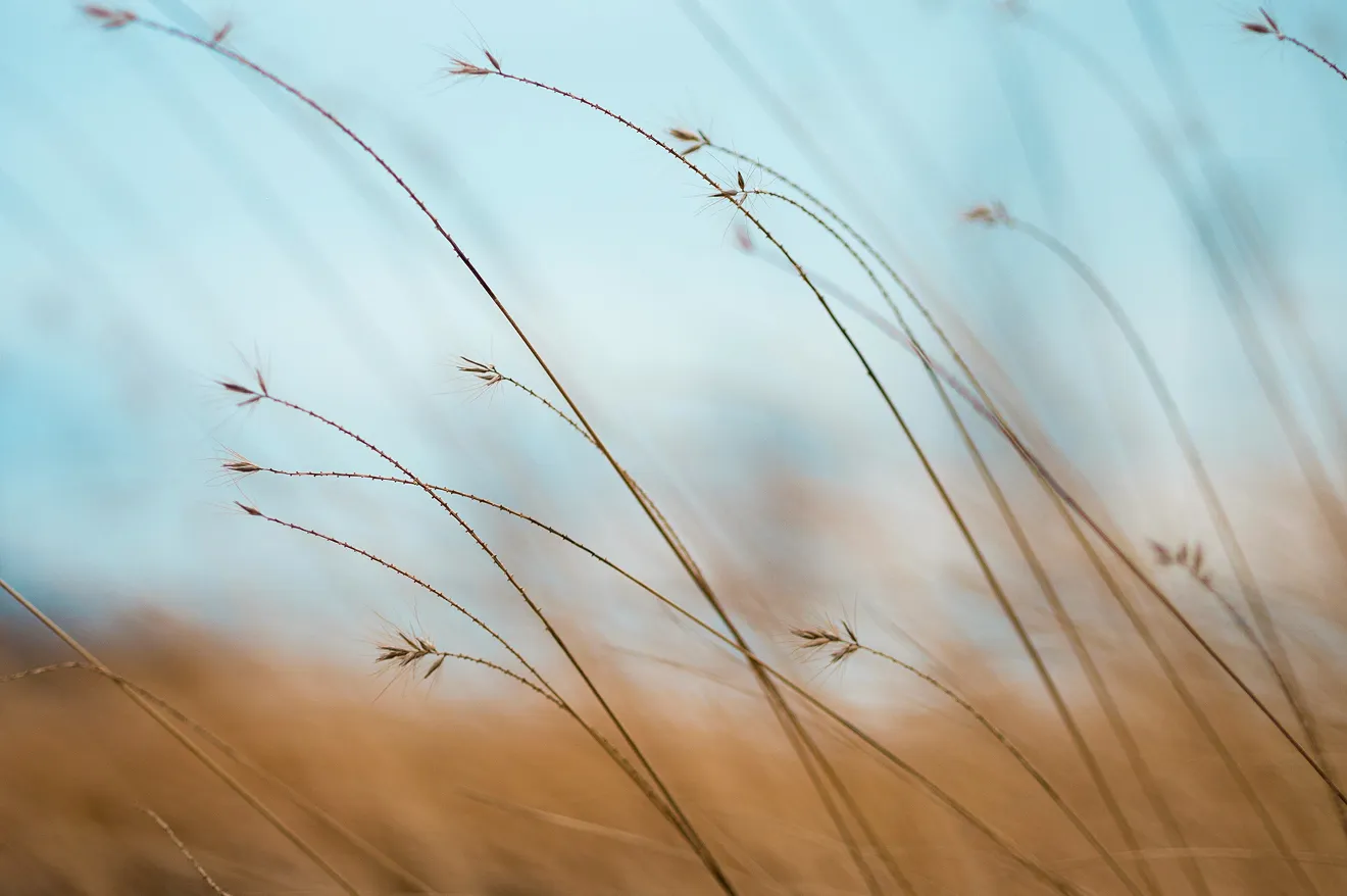 Intuiching – belső útmutatás és tisztánlátás